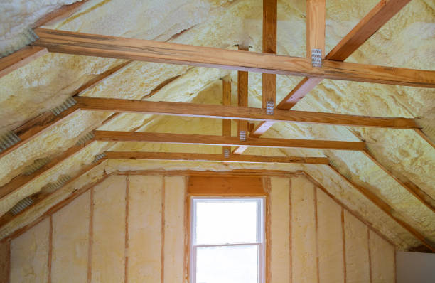 Best Professional Insulation Contractor  in Valley Falls, SC