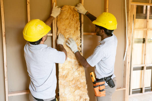 Professional Insulation Contractor in Valley Falls, SC